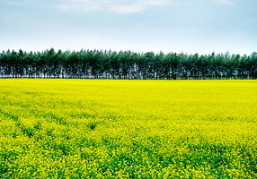 常阴沙生态农业度假区