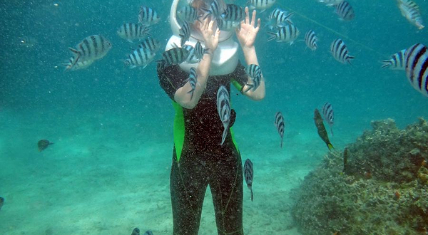 鹿岛太阳能海底漫步