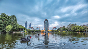 厦门大学-芙蓉湖