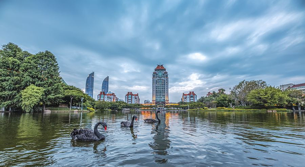 厦门大学-芙蓉湖