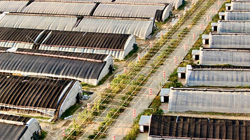 北京康顺达农业科技有限公司