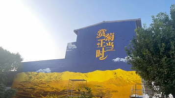 芮城斜口菊花园