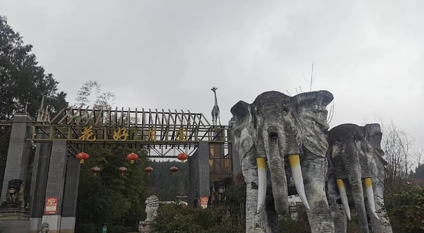 花好月圆动物园