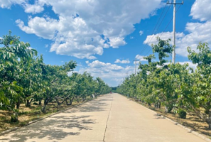 北京喜邦生态农业有限公司