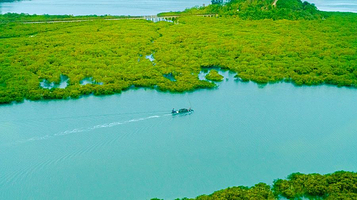 钦州湾茅尾海国际旅游度假区