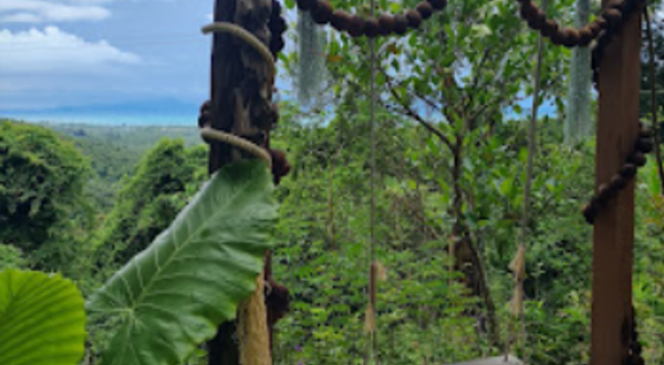 苏梅岛树桥滑索