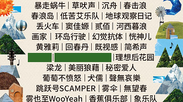 丽江 · 2025荒野之国艺术火把节