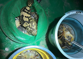 鲸鱼浮潜·冲浪·赶海俱乐部(神州半岛店)