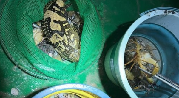 鲸鱼浮潜·冲浪·赶海俱乐部(神州半岛店)