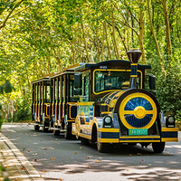 钟山风景名胜区