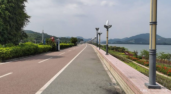 鳄渡秋风