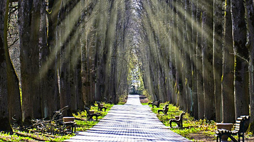 桤木河湿地公园