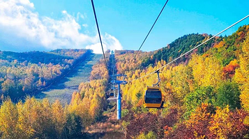 美林谷亚高原运动休闲度假区