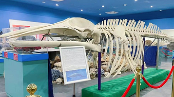 上海长兴岛博物馆