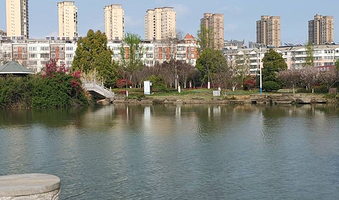 桐城市西郊公园