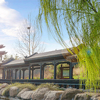 樱花山风景区