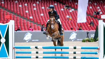 纵横马术培训俱乐部(丰台旗舰店)