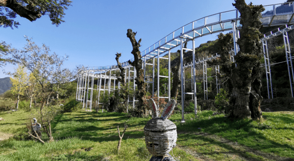 终南山寨石纪未来岛亲子乐园