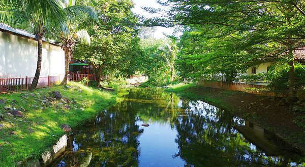 东方村