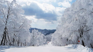 Hakuba Cortina 白马Cortina滑雪场