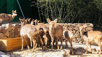 洛阳红山欢乐谷欢乐牧场