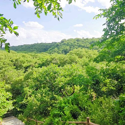 大清沟自然风景区