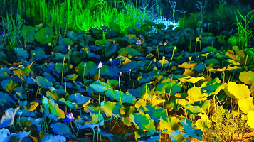 拈花湾禅行表演