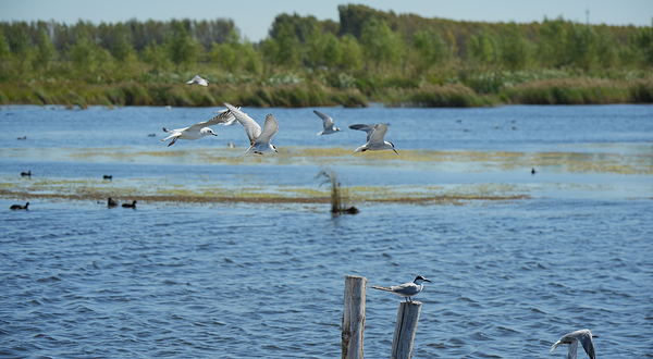 千鹤岛旅游风景区