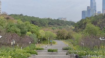 樱花谷主题乐园