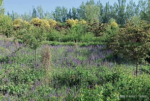 银川森淼生态旅游区