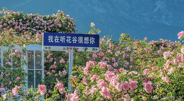 听花谷-丽江百花园