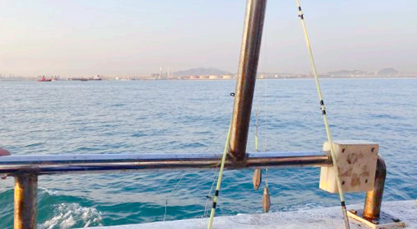 青岛租船出海观光垂钓