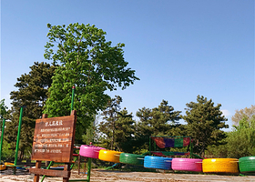 森林日记主题乐园