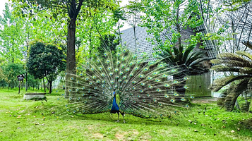 洋沙湖国家湿地公园