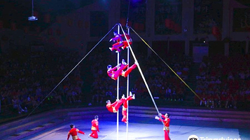 济州马戏团世界