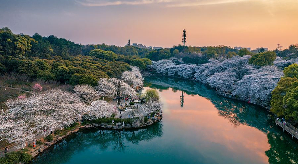 湖南省植物园