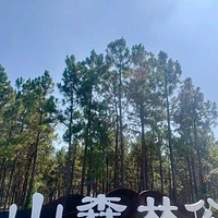 安山森林公园