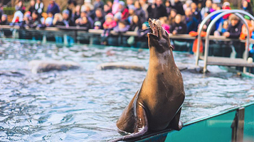 中央公园动物园