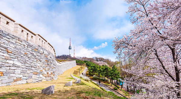 南山公园