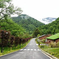 甲勿海·熊猫园景区