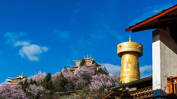 迪庆红军长征博物馆(香格里拉市独克宗古城)