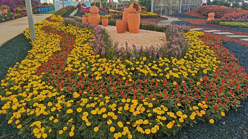 虹之彩花卉主题公园