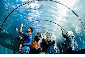 兰卡威海底世界