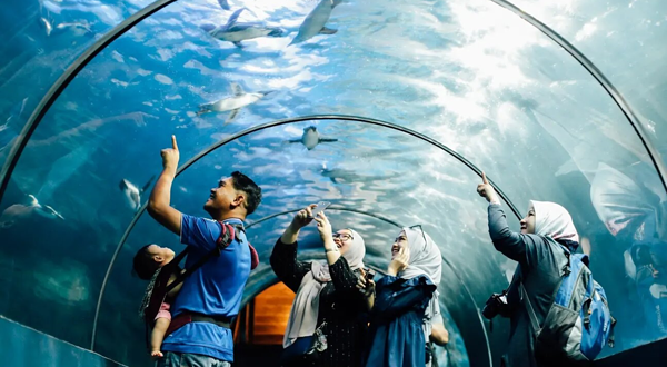 兰卡威海底世界