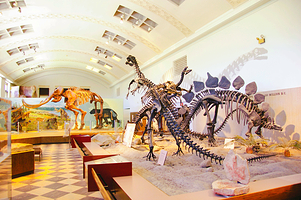 犹他州自然历史博物馆