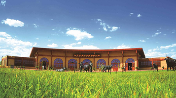 阳早寒春三边牧场陈列馆