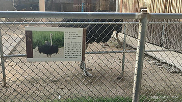 王城公园动物园