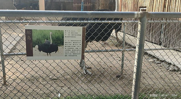 王城公园动物园