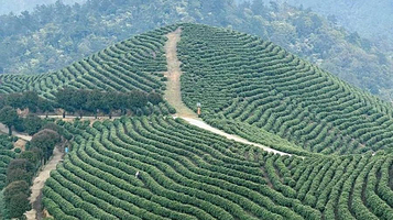 湖州市驾云山风景区