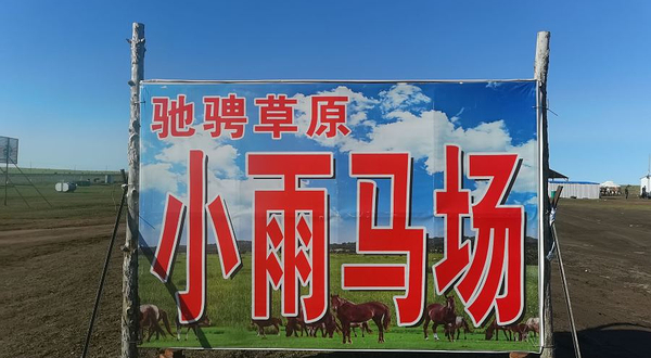 驰骋草原小雨马场